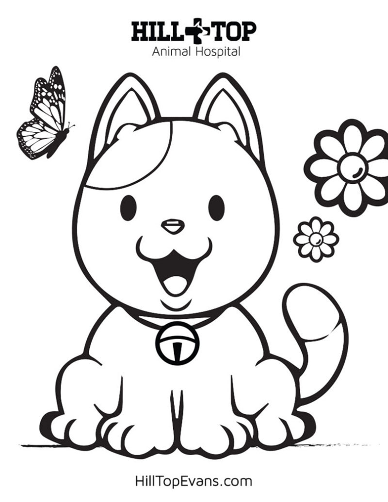 hilltop animal hospital cat coloring sheet