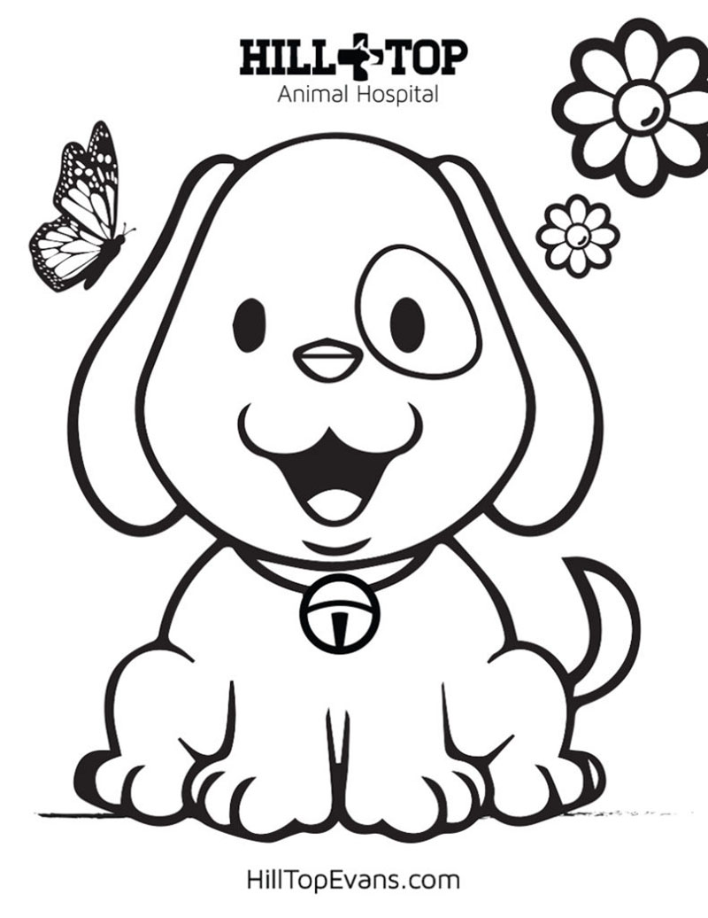 hilltop animal hospital dog coloring sheet