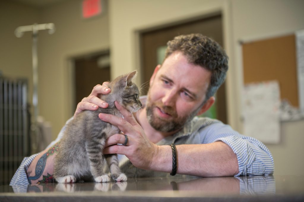 hill top animal hospital dr scholer