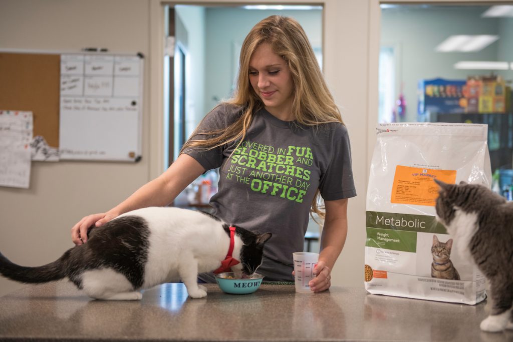 hill top animal hospital familiarity