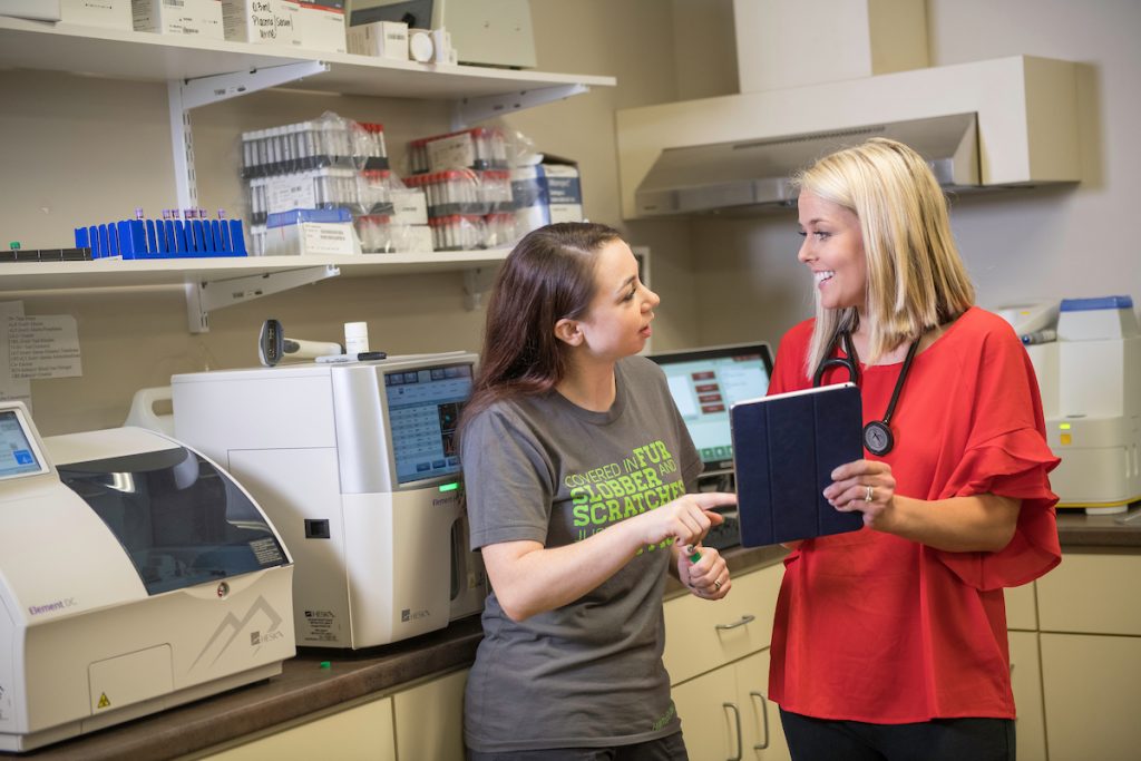 hill top animal hospital pet care advice