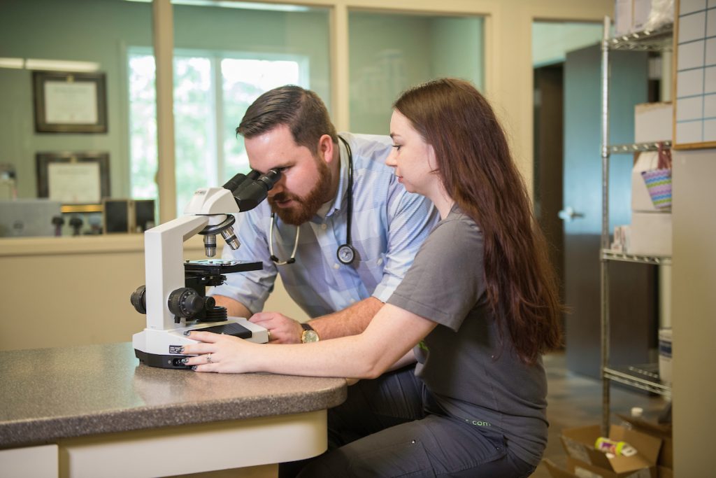 hill top animal hospital preventative care